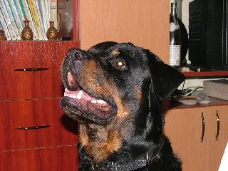Drumul spre munte...