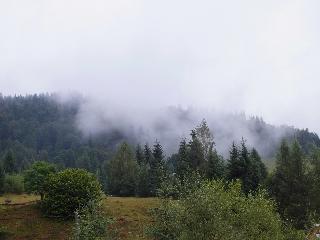 Blăgești - Pogarârea Sf. Duh