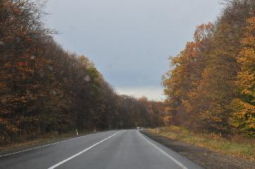 Trei albi