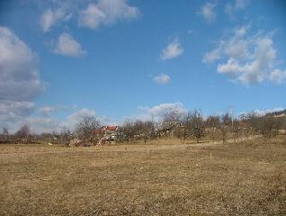 Măr