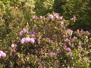 oslo_2004_0055