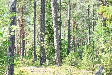 oslo_2004_0086