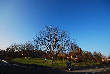 Garden_2019_0001